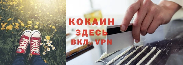 прущие грибы Балабаново