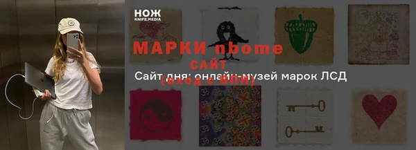 прущие грибы Балабаново