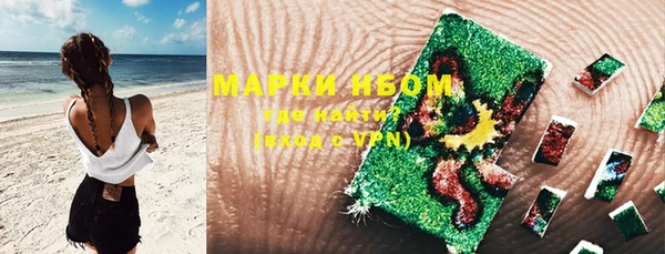 прущие грибы Балабаново