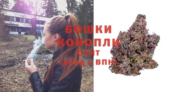 прущие грибы Балабаново