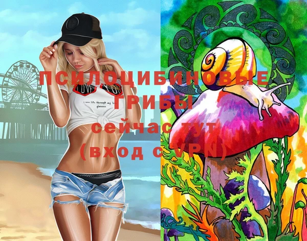 прущие грибы Балабаново