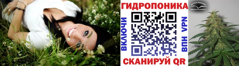 Каннабис конопля  цены наркотик  Серафимович 